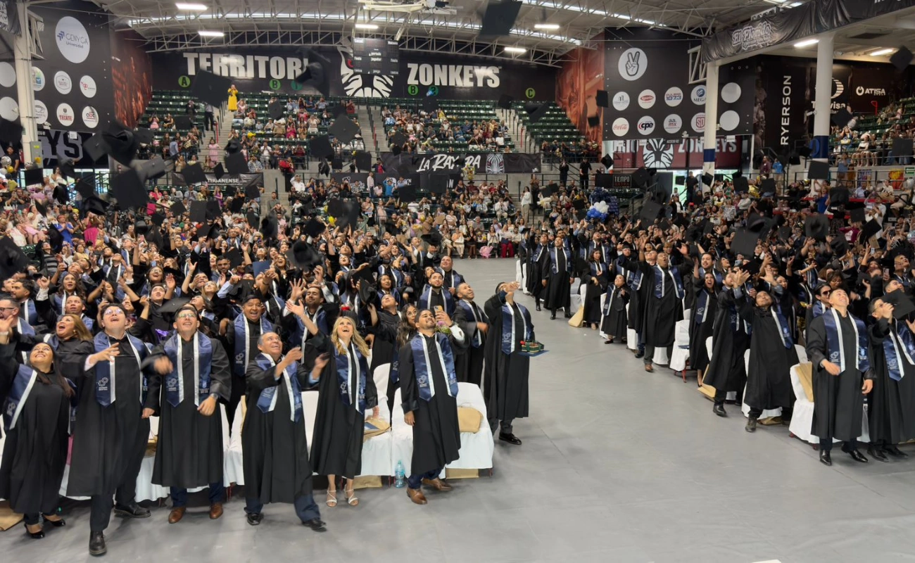 Perfil del egresado de Ingeniería Mecatrónica